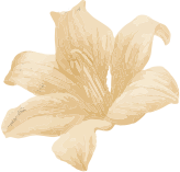 Élimination permanente de poils